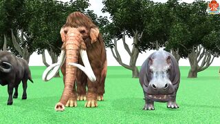 Anima game for kids
