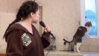mic to cat