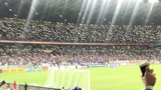 Festa torcida do Cruzeiro no mineirão