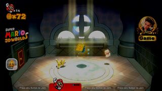 Super Mario 3D World: World 2, item collection
