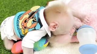Funny Animals ????