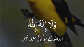 اللہ کی حمد و ثناء