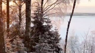 How beautiful are the landscapes of the Leningrad region in winter