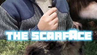 The scary face