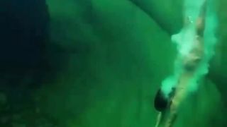 Life looks better underwater