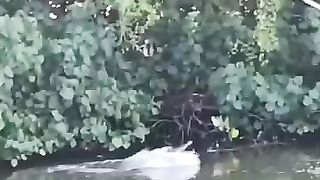 Fishing...