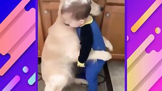 CUTE BABY ANIMALS ???? - Funniest and Cutest Animals Ever 2020 Cute Animals #34