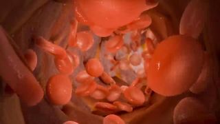Arterial Stiffness and Vitamin D