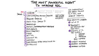 The Most Powerful Agent to Raise HDL