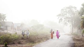 Indian Village Life II Indian VillagesII Indian Rural life II Indian Countryside II #indianvillages