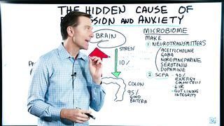 Hidden Cause of Depression and Anxiety – Brain and Gut Connection – Dr. Berg