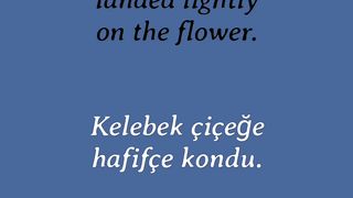 Learn English to Turkish Adverbs 114