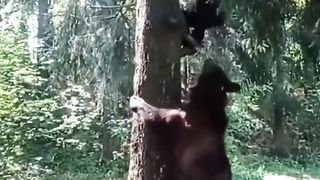 I WILL STILL CLIMB.