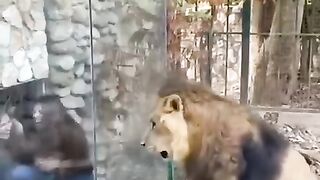 Don't Support Zoos