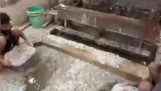 Amazing videos vol 409