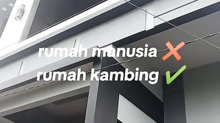 Amazing videos vol 410