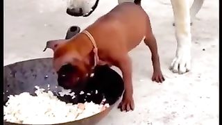 ????????????