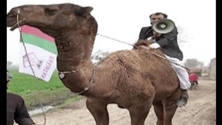 MQM candidate's unique style of campaigning