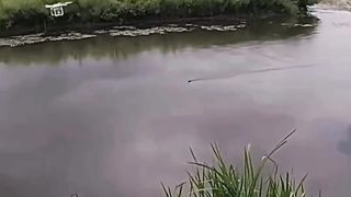 mancing pakai drone ????️ endingnya tapi nyungsep bro ????