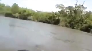 Are you afraid of snakes?