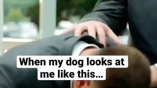 That look ????! #dog #goldenretriever