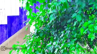 Raning in Kashmir beautiful wather view