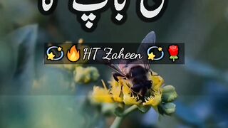 Islamic_video____Islamic__#islam_#foryou_#tiktok_#viral