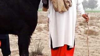 Mashallah