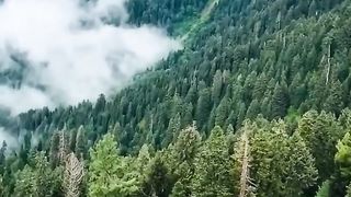 Beautiful_Toli_Peer_Kashmir_#travel_#beautiful_#pakistan_#2023_#tourism_#status_#kashmir