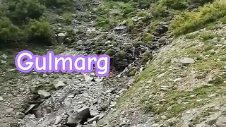 Gulmarg_Kashmir_Srinagar