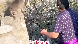 funny videos of Pja