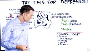 Try Lactobacillus Bifidobacterium for Depression – Natural Remedies for Depression – Dr.Berg