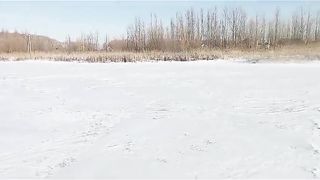 28 января 2024 г