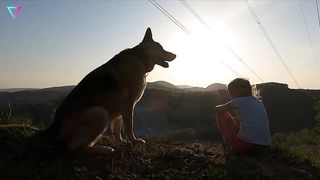 ▽ Животные с необычными рационами питания