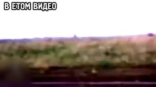 ЧЕРНОБЫЛЬСКИЙ МОНСТР и ДРУГАЯ МУТОТА СНЯТАЯ НА КАМЕРУ