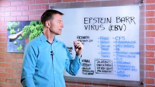 What is Epstein Barr Virus (EBV)? - Symptoms & Treatment – Dr. Berg