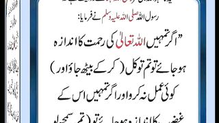 اسلامی معلومات Like share follow