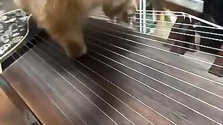 Мам, он играть не хочет!