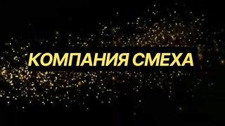 Самые смешные видео