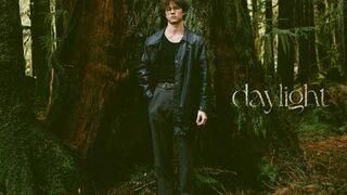 Skin and Bones - David Kushner (lyric video)