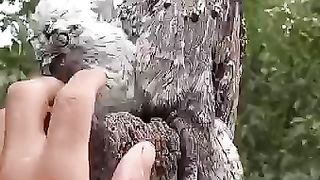 FUNNY LOL WIN