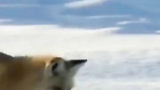 If you laugh, you restart.
