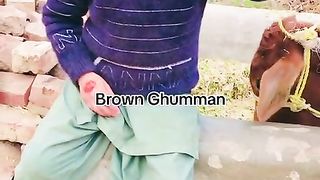 Funny video ???????? varal