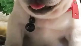 FUNNY LOL WIN