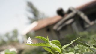 A Quiet Place - Short Film _ ft. Siren Head