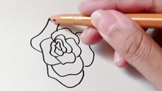 Easy rose drawing