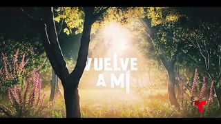 Vuelve 71