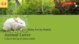 Animals lover #shorts video #my cutie # funny #comedy #video ????????????