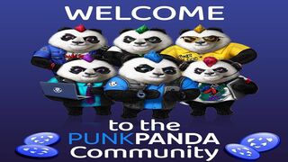 «Panda11 – Как зарегистрироваться»