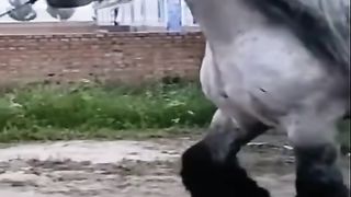 FUNNY LOL WIN
